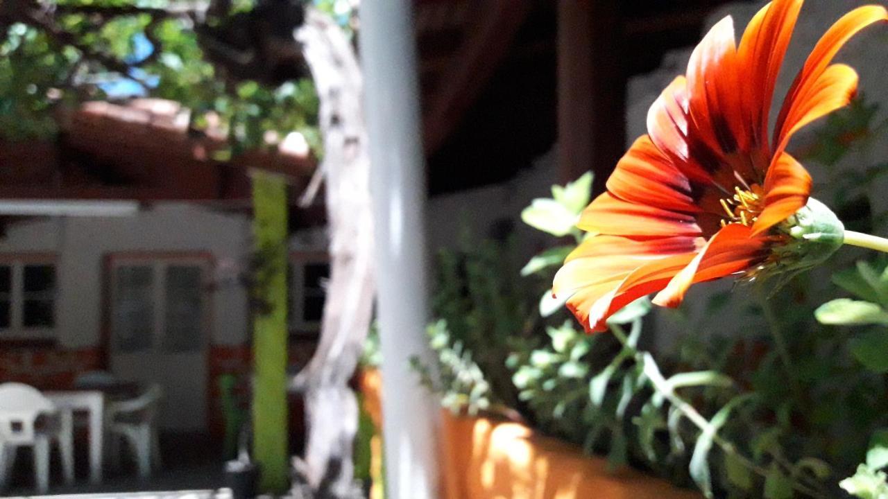 Hospedaje Don Alberto Hotel Potrerillos Ngoại thất bức ảnh